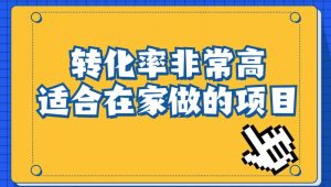 小红书虚拟电商项目：从小白到精英（视频课程+交付手册）-第一资源库