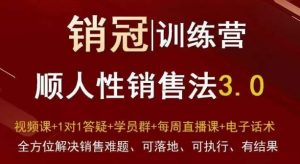 爆款!销冠训练营3.0之顺人性销售法,全方位解决销售难题、可落地、可执行、有结果-第一资源库