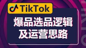 TikTok爆品选品逻辑及运营思路：解决网络环境快速入门TikTok-第一资源库