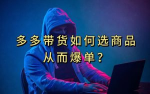 多多视频带货选什么商品链接才能爆单,10分钟教会你,爆单不是浮云【揭秘】-第一资源库