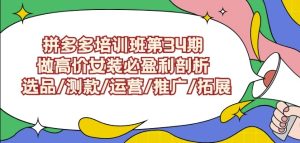 拼多多培训班第34期：做高价女装必盈利剖析选品/测款/运营/推广/拓展-第一资源库