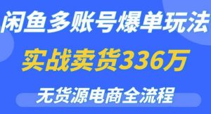 闲鱼多账号爆单玩法，无货源电商全流程，超简单的0门槛变现项目【揭秘】-第一资源库