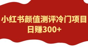 外面1980的项目，小红书颜值测评冷门项目，日赚300+【揭秘】-第一资源库