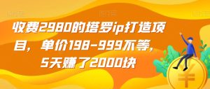 收费2980的塔罗ip打造项目，单价198-999不等，5天赚了2000块【揭秘】-第一资源库