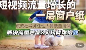 任性大舅·宠物行业短视频运营课(不讲废话)，短视频流量增长的一层窗户纸，解决流量焦虑&实现降本增效-第一资源库