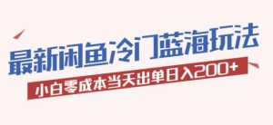 2023最新闲鱼冷门蓝海玩法，小白零成本当天出单日入200+【揭秘】-第一资源库