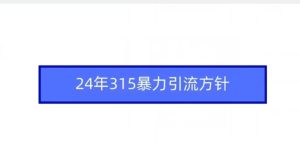 24年315暴力引流方针-第一资源库