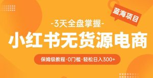 2023【阿本小红书无货源电商训练营】保姆级教程，从0到1，3天全盘掌握，轻松日入300+-第一资源库