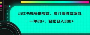 小红书账号撸收益，冷门高收益项目，一单20+，轻松日入300+【揭秘】-第一资源库