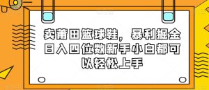 卖莆田篮球鞋，暴利掘金日入四位数新手小白都可以轻松上手【揭秘】-第一资源库