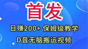 首发,抖音无脑搬运视频,日赚200+保姆级教学【揭秘】-第一资源库