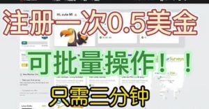 国外项目注册一次0.5美金，只需三分钟无脑操作，可批量同时放大操作，小白工作室福利【揭秘】-第一资源库