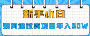 新手小白如何通过卖项目年入50W【揭秘】-第一资源库