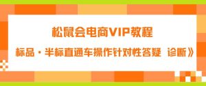 松鼠会电商VIP教程：松鼠《付费推广标品·半标直通车操作针对性答疑&诊断》-第一资源库