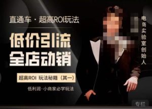 电商冰可乐·直通车·《低价引流·全店动销》,直通车·超高ROI玩法(其一)全店动销必学玩法-第一资源库