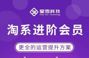 星雪·淘系进阶课程，快速提升突破技能流量瓶颈必备（更新2023年5月）-第一资源库