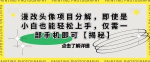 漫改头像项目分解，即使是小白也能轻松上手，仅需一部手机即可【揭秘】-第一资源库