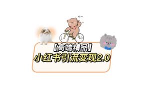 小红书最新引流变现教程,全网最新最详细的视频教程以及素材-第一资源库