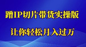 蹭这个IP切片带货实操版，让你轻松月入过万（教程+素材）-第一资源库