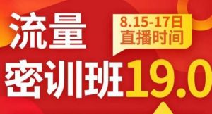 秋秋线上流量密训班19.0,打通流量关卡,线上也能实战流量破局-第一资源库
