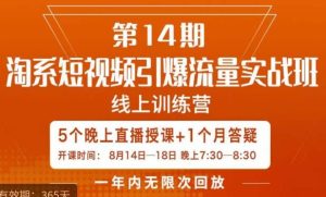 南掌柜·淘系短视频引爆流量实战班,短视频是一个没有天花板的流量入口-第一资源库