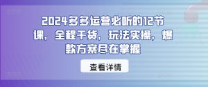 2024多多运营必听的12节课，全程干货，玩法实操，爆款方案尽在掌握-第一资源库
