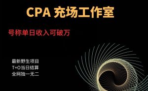 cpa充场工作室，号称单日收入10000+（揭秘）-第一资源库
