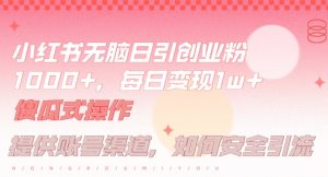 小红书无脑每日引流创业粉500+，小白每天只花半小时，躺赚长尾收益【揭秘】-第一资源库