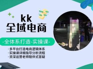 KK全域电商,全体系打造实操课,多平台打造电商逻辑体系-第一资源库