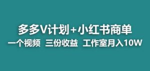 【蓝海项目】多多v计划+小红书商单一个视频三份收益工作室月入10w-第一资源库