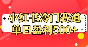 小红书冷门赛道，单日盈利500+【揭秘】-第一资源库