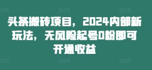 头条搬砖项目,2024内部新玩法,无风险起号0粉即可开通收益-第一资源库