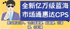 全新亿万级蓝海市场通惠达cps，最强管道收入，让你睡着赚、躺着赚、玩着赚、轻松赚【揭秘】-第一资源库