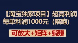 【淘宝独家项目】超高利润：每单利润1000元【揭秘】-第一资源库