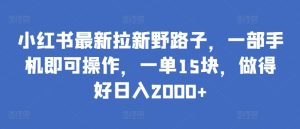 小红书最新拉新野路子，一部手机即可操作，一单15块，做得好日入2000+【揭秘】-第一资源库