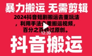 2024最新抖音搬运技术，抖音短剧视频去重，手法搬运，利用工具去重，达到秒过原创的效果【揭秘】-第一资源库