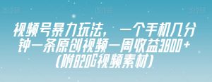 视频号暴力玩法,一个手机几分钟一条原创视频一周收益3800+(附820G视频素材)-第一资源库