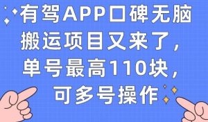 有驾APP口碑无脑搬运项目又来了，单号最高110块，可多号操作-第一资源库