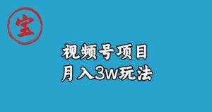 宝哥视频号无货源带货视频月入3w,详细复盘拆解-第一资源库