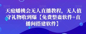 天庭蟠桃会无人直播教程,无人值守礼物收到爆【免费整蛊软件+直播间搭建软件】-第一资源库