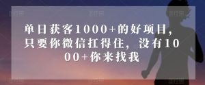 单日获客1000+的好项目，只要你微信扛得住，没有1000+你来找我【揭秘】-第一资源库