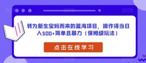 转为新生宝妈而来的蓝海项目，操作得当日入500+简单且暴力（保姆级玩法）【揭秘】-第一资源库