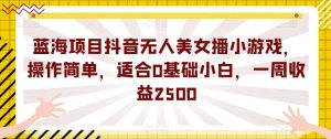 蓝海项目抖音无人美女播小游戏，操作简单，适合0基础小白，一周收益2500【揭秘】-第一资源库