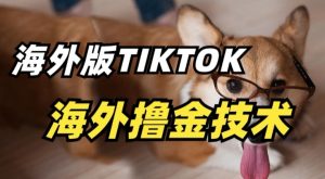 抖音海外版tiktok撸金技术,这个风口行业,赚钱真的不难【揭秘】-第一资源库
