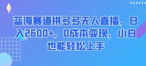 蓝海赛道拼多多无人直播，日入2600+，0成本变现，小白也能轻松上手【揭秘】-第一资源库