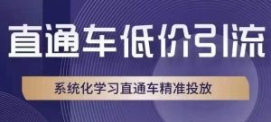 直通车低价引流课,系统化学习直通车精准投放-第一资源库