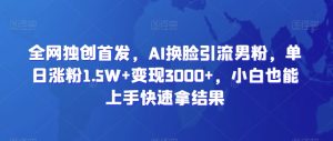 全网独创首发，AI换脸引流男粉，单日涨粉1.5W+变现3000+，小白也能上手快速拿结果【揭秘】-第一资源库