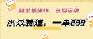 小众赛道，一单299.简单易操作，长期可做【揭秘】-第一资源库