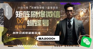 矩阵刷爆微信蝴蝶号创作者分成计划收益的新玩法,日入2000+【揭秘】-第一资源库