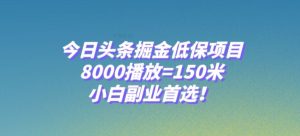 今日头条掘金低保项目，8000播放=150米，小白副业首选【揭秘】-第一资源库